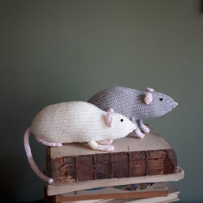 Domestic rat toy