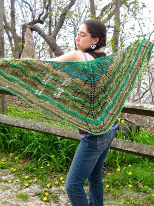 Cutting Ferns Shawl