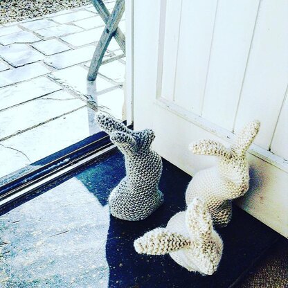 Hare a doorstop pet