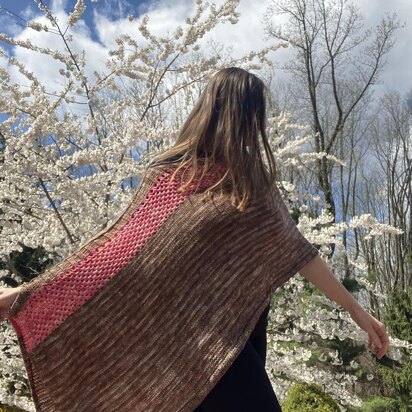 Primavera Shawl