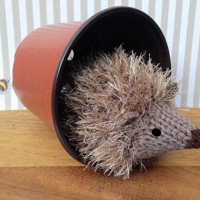 Garden Hedgehog - Chocolate Orange Cover