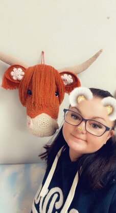 Heather the African flower highland cow head