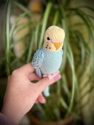 Pearl the Budgie
