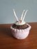 Knitted Cupcake