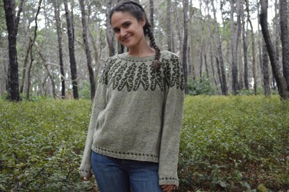 Alocasia Pullover