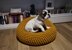 Ivar Pouf Pet Bed