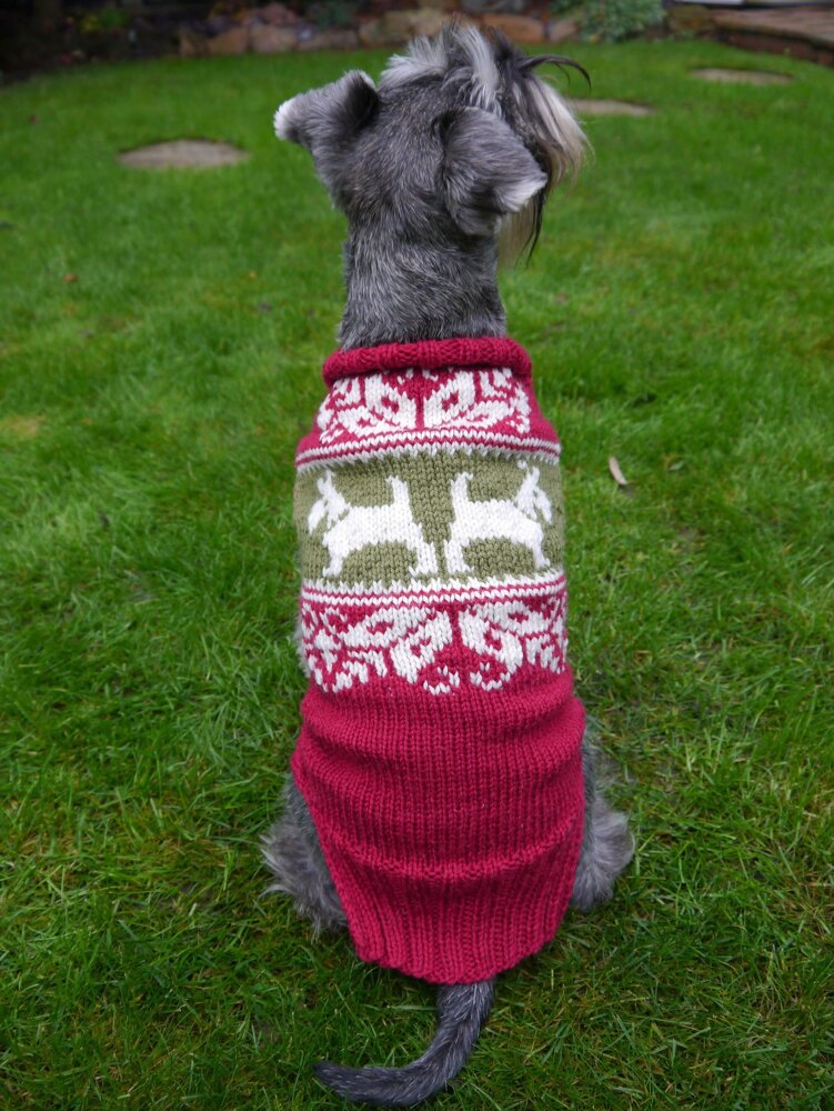 Mabel's Christmas Sweater at WEBS