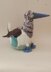Blue-Footed Booby Tea Cosy
