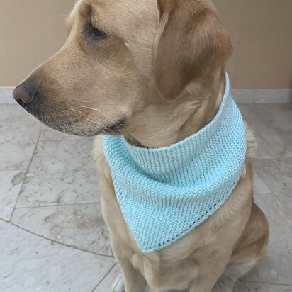 Cat & Dog Bandana - knitting pattern