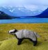 (Eurasian) badger