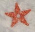 Starfish Baby Rattle