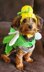 Stinker Bell Dog Coat inspired by Tinkerbell