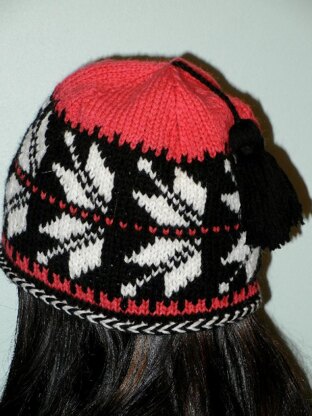 Telemark Ski Hat