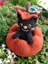 Kit Cat the Halloween Cat with Pumpkin