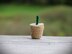 Mini Iced Coffee