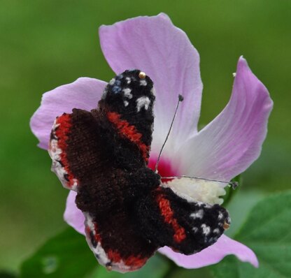 A Flutter of Butterflies