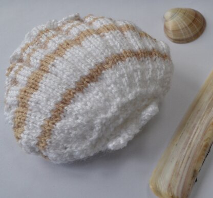 Scallop Shell