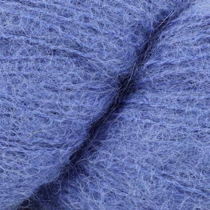 Aster (1105)