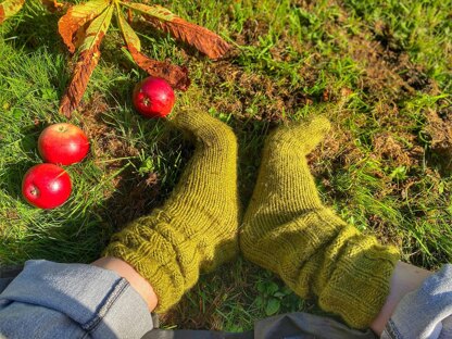 Beginner Chunky Socks