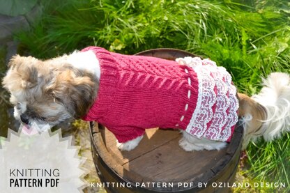 Lace cherry dress for dog