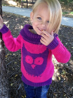 Owl Cowl Sweater