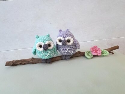 Owls couple on a branch