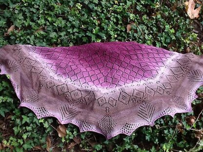 Felicity's Shawl of Generosity