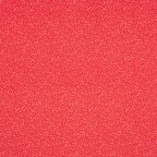 Ditsy Floral Red (007)