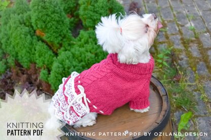 Lace cherry dress for dog