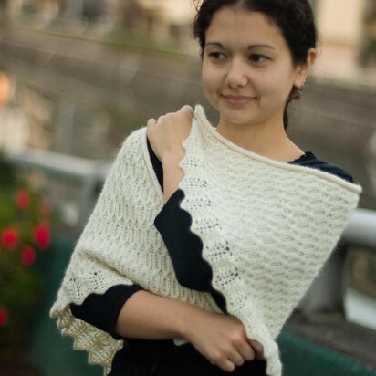 Notre Dame de Paris Shawl