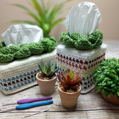 Succulent Tissue Cover