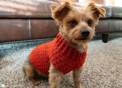 Dandy Dog Sweater