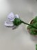 Nana's Snowdrop Flowers