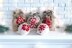 Gift Bags & Baubles
