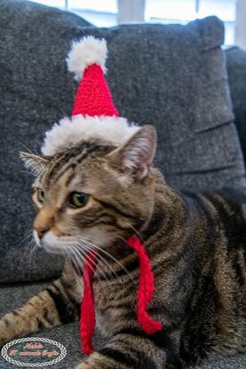 Cat Santa Hat