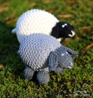 Valentina the sheep