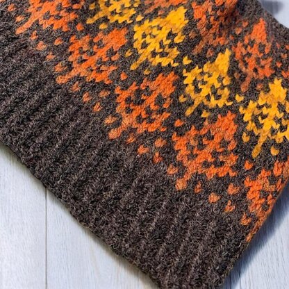 Mohawk Trail Knit Hat