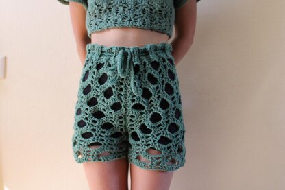 Gigi Mesh Shorts/Skirt