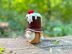 Christmas pudding gnome