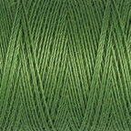 Medium Forest Green (919)