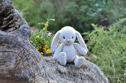 Baby Bunny Rabbit (In the round)