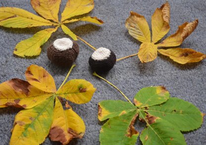 Conker and Shell