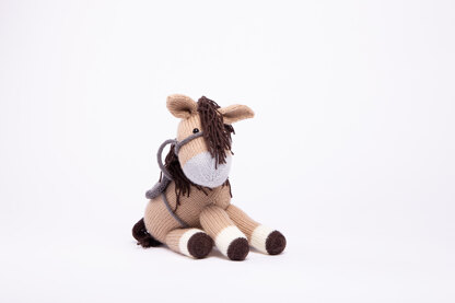 Deramores Dolly the Donkey and Bramble the Horse PDF