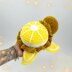 Turtle Fruit Lemon