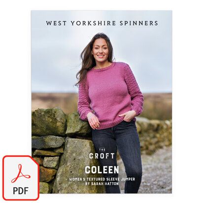 Coleen Women's Textured Sleeve Jumper By Sarah Hatton in West Yorkshire Spinners - WYS1000271 - Downloadable PDF