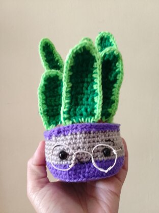 Sansevieria amigurumi