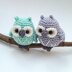 Owls couple on a branch