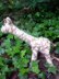 Knitted/Felted Giraffe