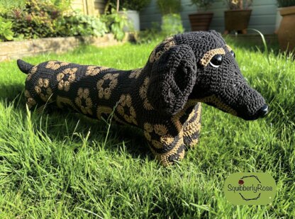 Desmond the African Flower Dachshund Dog