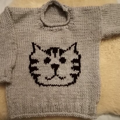 Cat sweater for children
